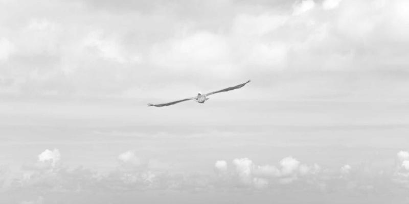 从厨房用具到清洁用品：解码广州福中国企业文化如何重塑家居生活品质