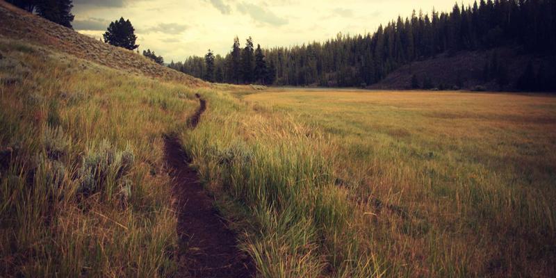 从广州福中国看新消费品牌如何打造高辨识度的视觉识别系统：以清洁用品、厨房用具、家居用品为例