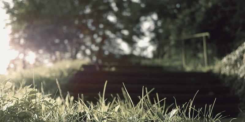 从用户旅程地图出发：广州福中国如何优化全渠道购物体验，重塑清洁用品与收纳整理新标准