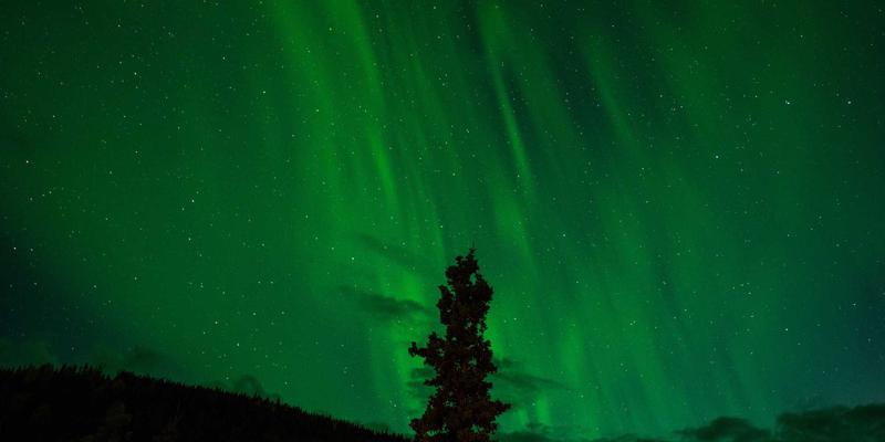 展会赋能，贸易突围：广州福中国生活用品、装饰摆件与清洁用品的参展成效深度解析