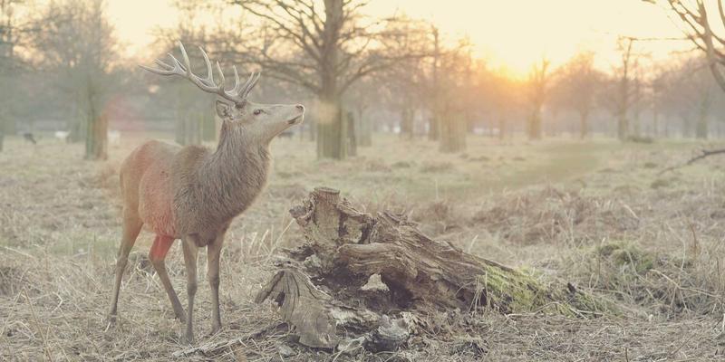 广州福中国12：专业收纳整理与清洁用品解决方案，打造理想家居空间