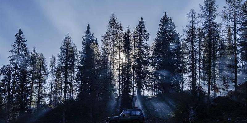 广州福中国30：装饰摆件与收纳整理的艺术融合，打造理想家居生活