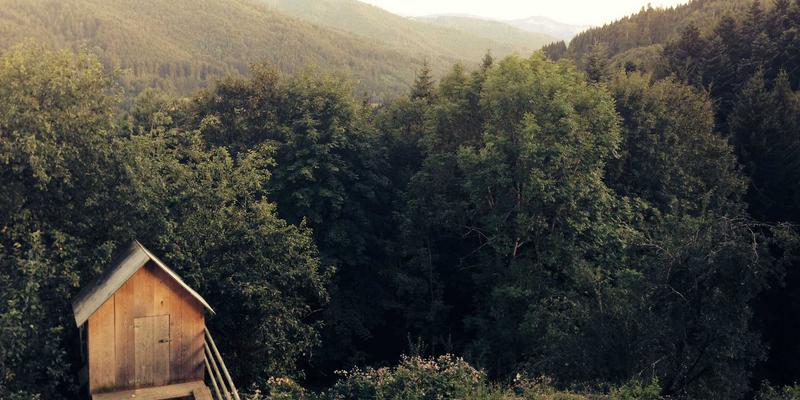 广州福中国35：用生活用品、收纳整理与清洁用品，打造高效舒适的家居生活