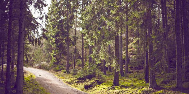 广州福中国67：一站式日用百货与家居收纳解决方案，打造精致生活空间