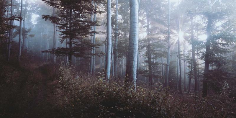 广州福中国85：匠心打造厨房与生活美学，赋能中国家庭品质生活