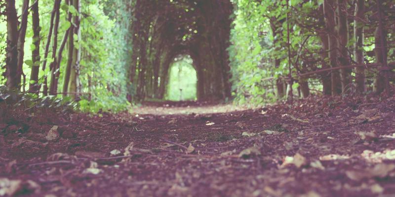 广州福中国：以供应链金融赋能家居企业，破解装饰摆件、收纳整理与清洁用品行业的原材料价格波动困局