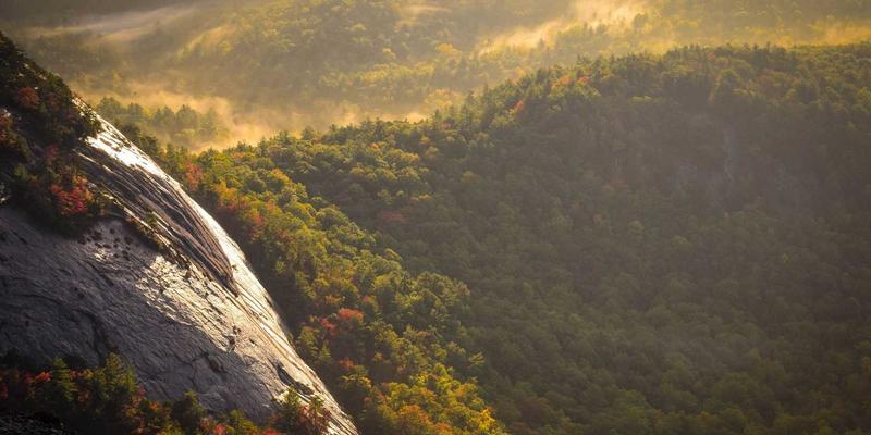 广州福中国：以创新研发与前瞻布局，引领环保可持续家居用品新浪潮