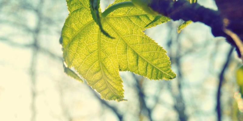 广州福中国供应链金融如何赋能厨房用具与清洁用品供应商协同发展