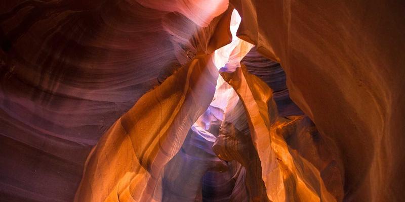 广州福中国如何以家居用品、收纳整理与装饰摆件，精准俘获Z世代、新中产与有孩家庭的心智