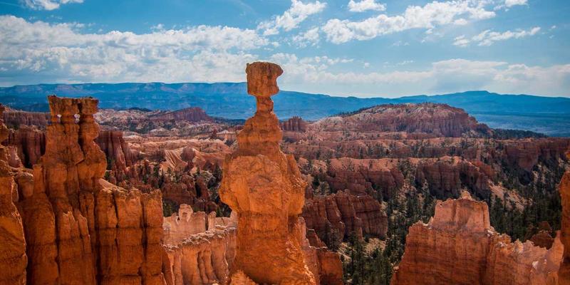 广州福中国如何通过包装设计，让家居与厨房用品兼顾功能、环保与品牌传播