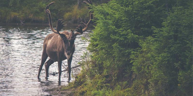 广州福中国：深耕厨房用具与日用百货领域的卓越发展之路