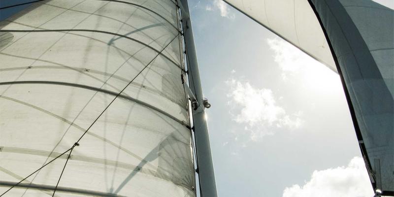 广州福中国：清洁用品与日用百货巨头在粤港澳大湾区的战略定位分析