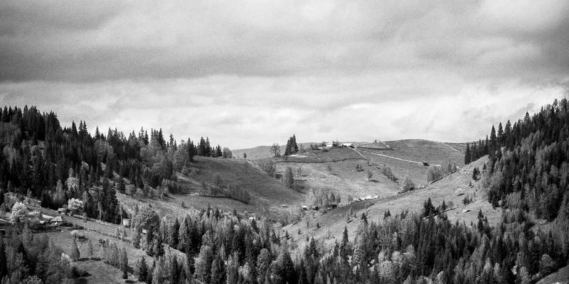 广州福中国评测：专业收纳整理如何提升日用百货消费体验